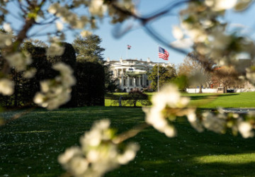 Daring Easter Rescue and a Glimmer of&nbsp;Peace